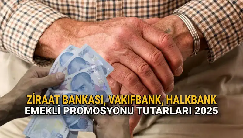 2025 Emekli Promosyonları: Kamu Bankaları Hangi Avantajları Sunuyor?