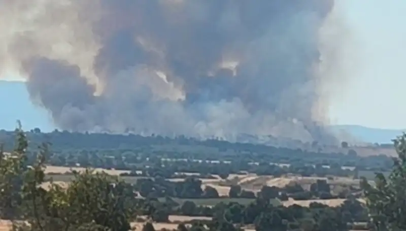 Komşudaki Orman Yangını, Edirne’yi Siyah Dumanlarla Kapladı