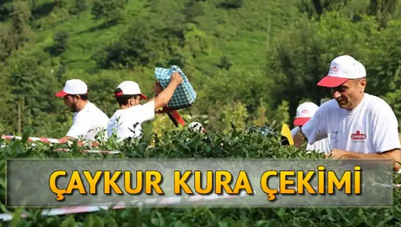 Çaykur Kura Sonuçları: Canlı Kura Sayfası ve İsim Listesine Nasıl Erişilir?