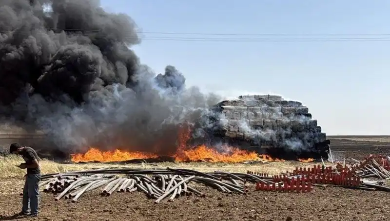 Mardin'de Anız Yangını: Tarım Alanları Tehlikede, Yangınla Mücadele Başlatıldı