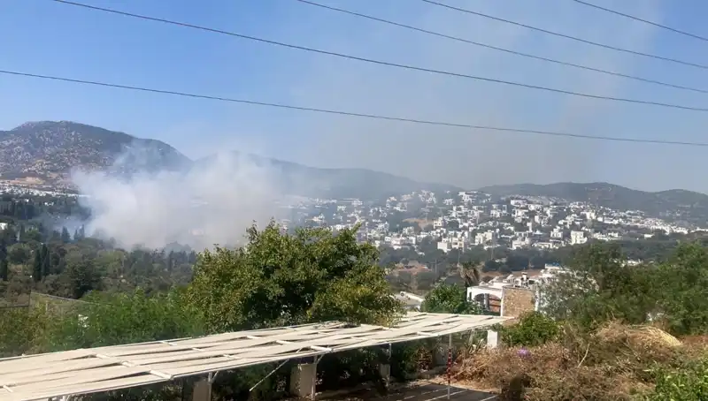 Muğla Orman Yangınlarındaki Son Durum: Kontrol Altında!