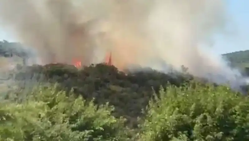 İstanbul'da Çıkan Orman Yangını: Vatandaşların Acil Tahliyesi Gerçekleşti