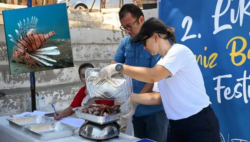 Antalya'da İstilacı Aslan Balığı Avlama Yarışması: Denizin Gizli Tehditine Dikkat Çekiliyor
