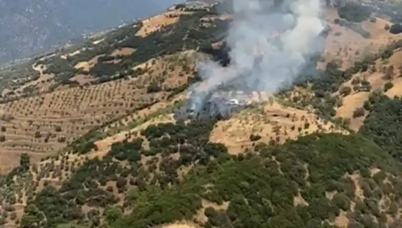 Aydın'da Zeytinlik Alanlarında Büyük Yangın! Korkutan Görüntüler