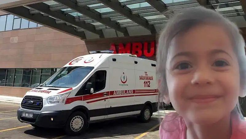 8 Yaşındaki Roza'nın Kaybı, Tüm Türkiye'yi Sarsan Bir Acı Hikaye