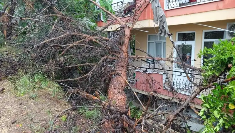 Yağmurun Gücü Binası Yerle Bir Etti: Son Dakika Gelişmeleri