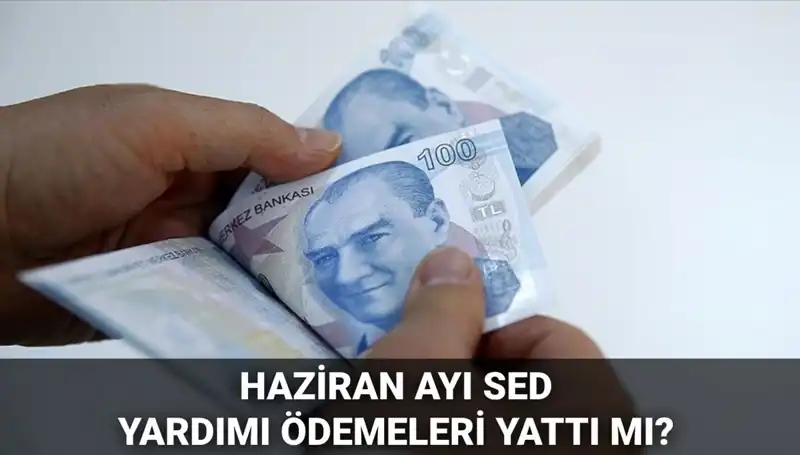 Haziran 2025 SED Ödemeleri: Ne Zaman Yatacak ve Nasıl Sorgulanır?