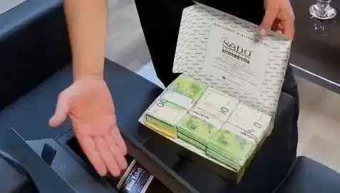 Manavgat Belediyesi'nde Büyük Operasyon: Baklava Kutularında Saklanan Avrolar