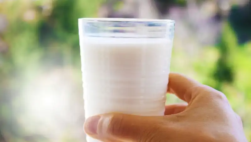 Süt Tüketimi Şişkinliğe Neden Oluyor mu? Uzman Doktor Yanıtlıyor!