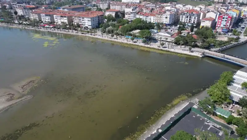 Marmara Denizi'nde Endişe Verici Görüntüler: Ciddi Risk Altında mı?