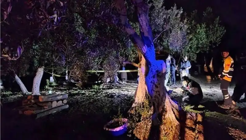 Çiftlikteki Baltalı Vahşete Son! Olayla İlgili İlk Tutuklama Gerçekleşti
