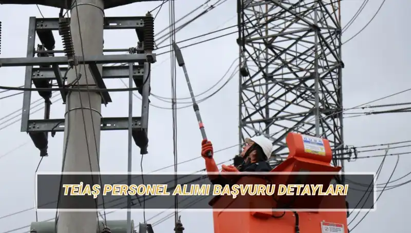 TEİAŞ Personel Alımı: 2023 Başvuru Tarihleri ve Şartları