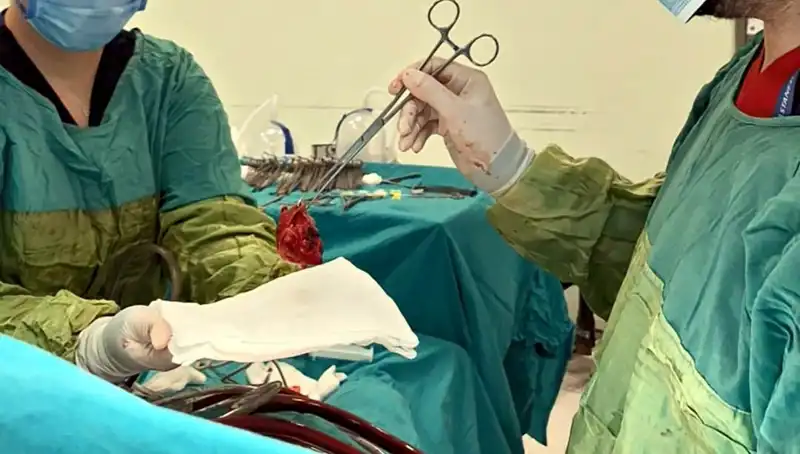 Kalp Kapağında Çürümeyle Savaş: 7 Saatlik Ameliyat ve Mucizevi Sonuç