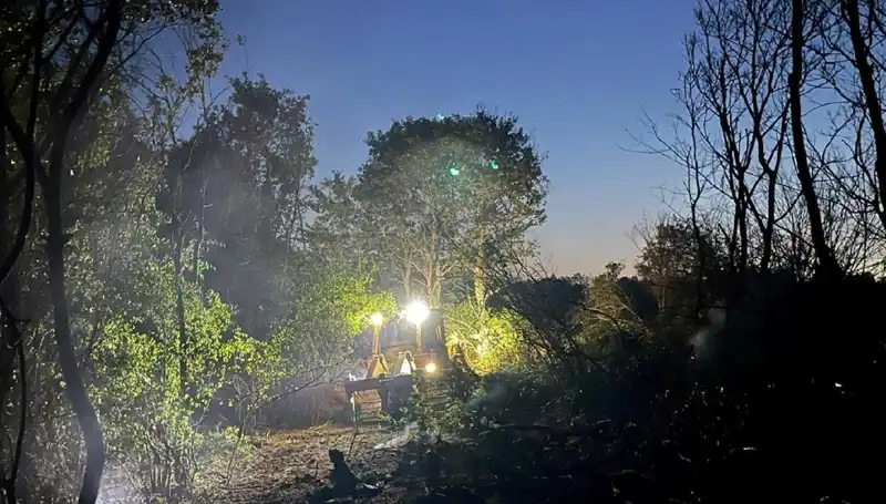 Edirne’de Korkutan Orman Yangını Kontrol Altına Alındı