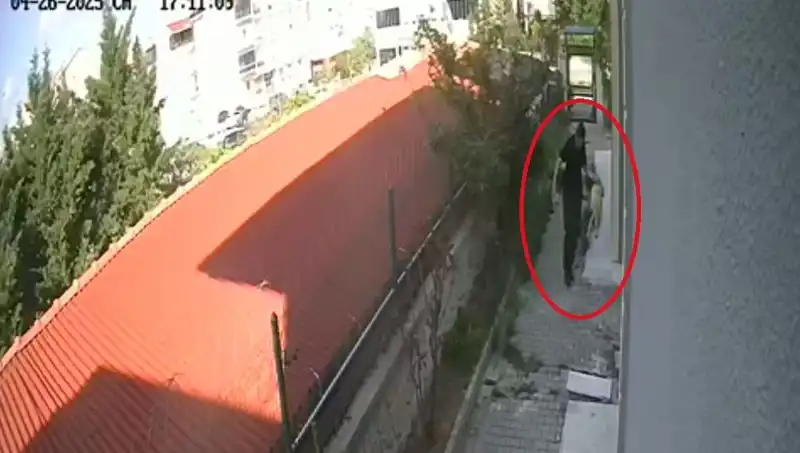 Veteriner Doktorun Şok Eden Suçlaması: Sahiplendiği Köpekleri Öldürdü!