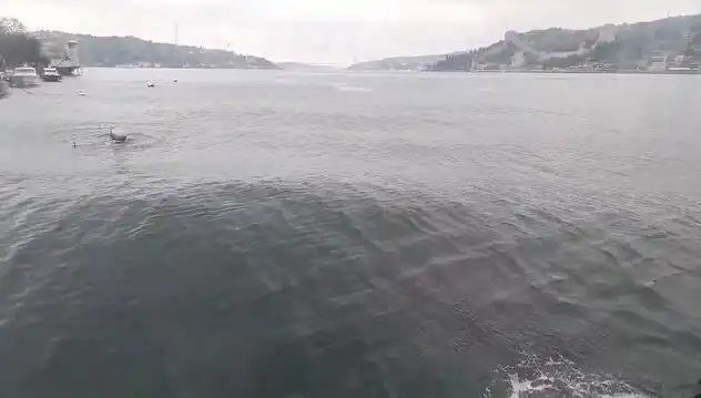 İstanbul Boğazı’nda Dalgalar Yükseldi: Nedenleri ve Etkileri Neler?