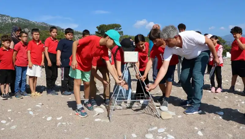 Kemer'de Caretta Caretta Koruma Yasakları Başladı: Denizde Dikkat Edilmesi Gerekenler
