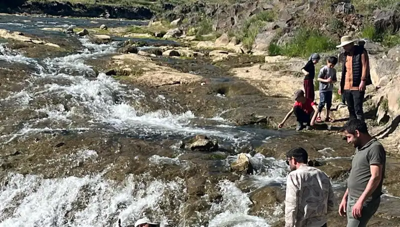 İnci Kefali Göçü: Doğanın Şaşırtıcı Yolculuğuna Tanıklık Edin!