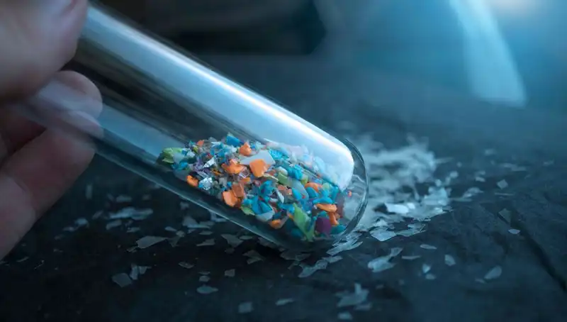 Mikroplastikler İnsan Beynine Ne Kadar Zarar Verebilir? Bilimsel Bulgu Şok Edelim