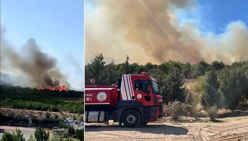 Gebze'de Orman Yangını: Doğa Katliamı ve Mücadele Süreci