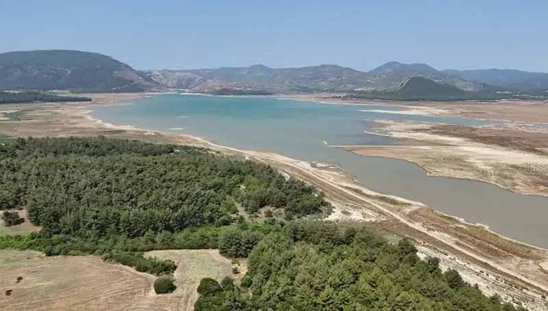 İzmir'de Alarm Zillerini Çaldıran Tehlike: Yüzde 50'lik Düşüş!