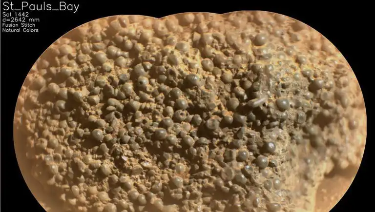 Mars’ta Şaşırtan Keşif: Örümcek Yumurtaları mı Bulundu?