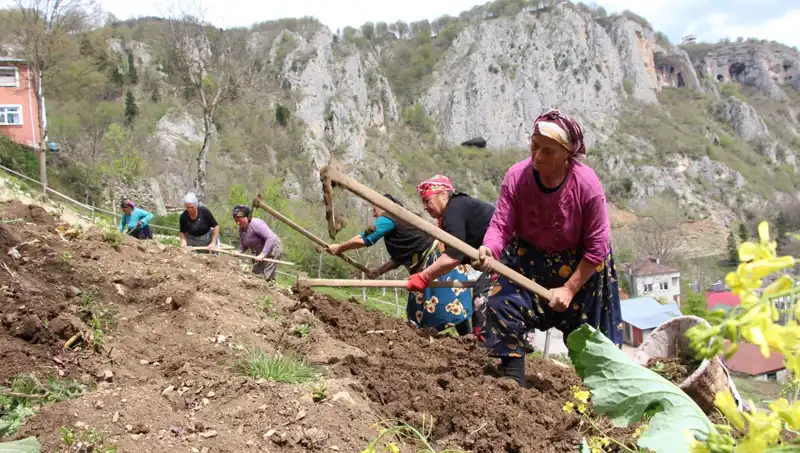 Zorlu Mesai Başladı: Sepetler ve Kazmalarla Yeniden İş Başındalar!