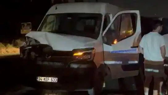 İstanbul'da Manda Kazasında Üç Yaralı: Detaylar Ortaya Çıktı