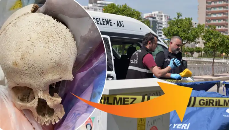 Sitenin Çöpünden Çıkan Kafatasının Gizemi Şimdi Ortaya Çıkıyor!
