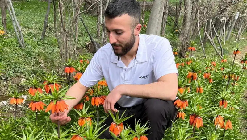 "Ağlayan Gelin: 20 Günlük Ömrü ile Koruma Altında"