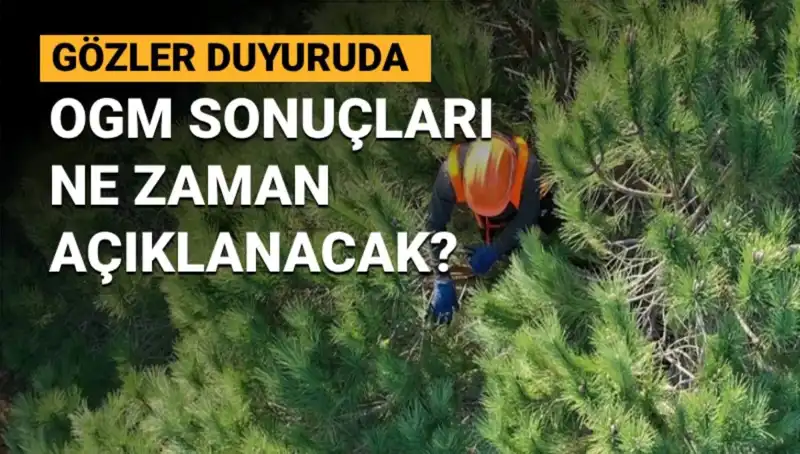 OGM Personel Alımında Sonuçlar Ne Zaman Açıklanacak? İşte Tüm Detaylar