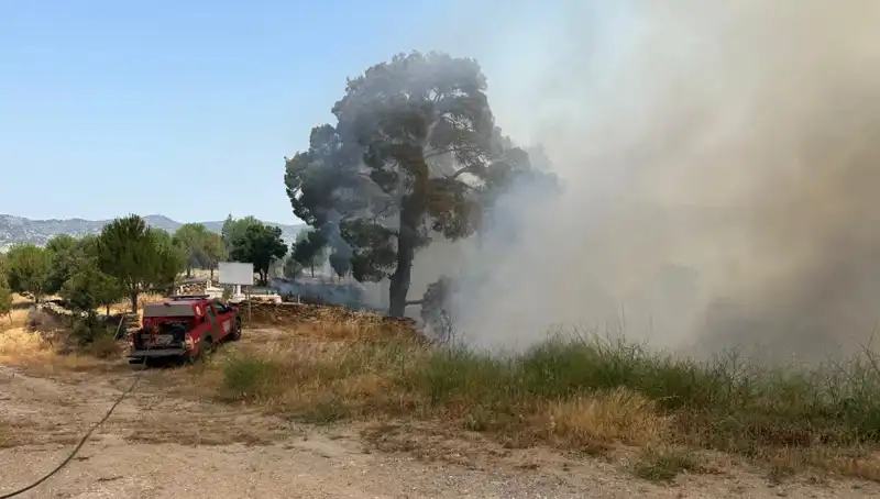 Muğla'da Orman Yangını: Doğanın Kurtuluşu İçin Umut Işığı Var mı?