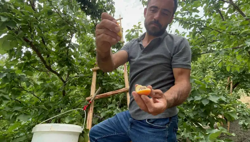 Tadı Damağınızda Kalacak: Fırsatlarla Dolu Lezzet Sizi Bekliyor!
