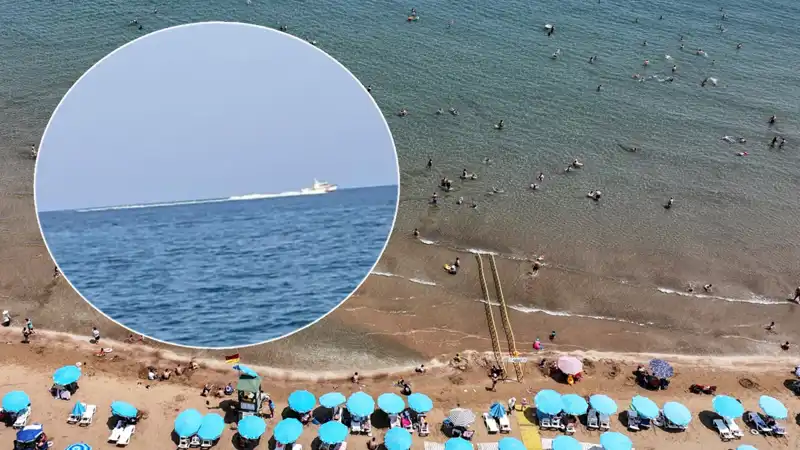 Plajda Köpek Balığı Korkusu: Tatilciler Panik İçinde Kaçıştılar!