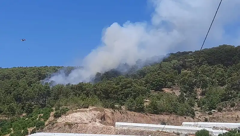 Kumluca'da Orman Yangını! Gökyüzünü Karanlık Duman Kapladı