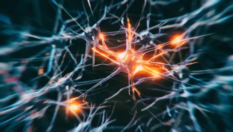 Alzheimer Vakalarındaki Endişe Verici Artışın Nedenleri ve Çözümler