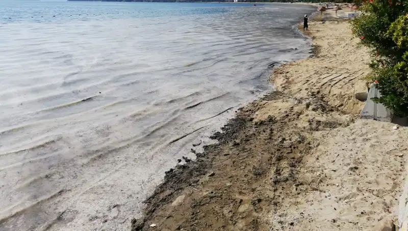 Müsilajla Mücadelede Flaş Gelişme: 268 İşletme Faaliyete Ara Verdi
