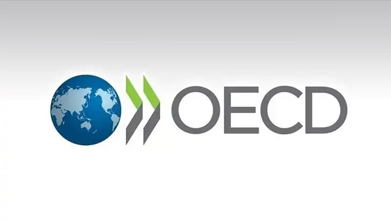 OECD'den Türkiye Ekonomisi için Umut Verici Büyüme Tahmini Açıklandı