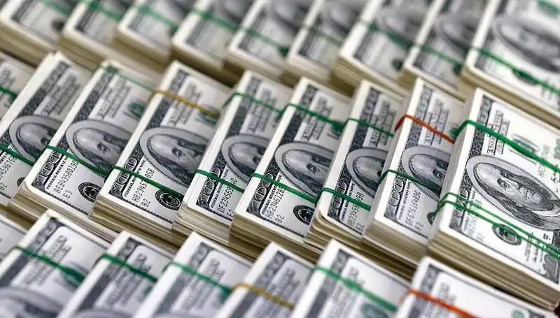 Doların Hızla Yükselmesi Üzerine Uzmanlardan Kritik Uyarılar Geldi