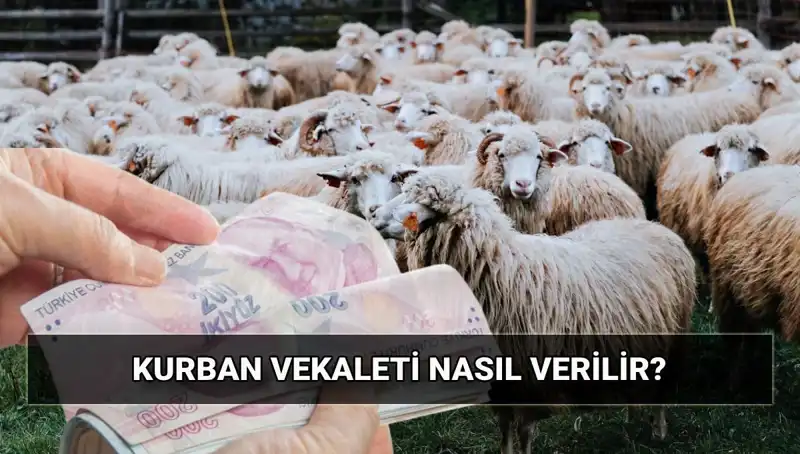 Vekaletle Kurban Kesimi: Diyanet'ten 2025 İçin Tüm Detaylar