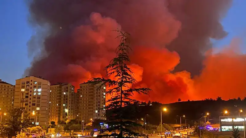 Bursa'da Yangınlar Doruğa Ulaşıyor: Vatandaşlar Tedbir Almalı!