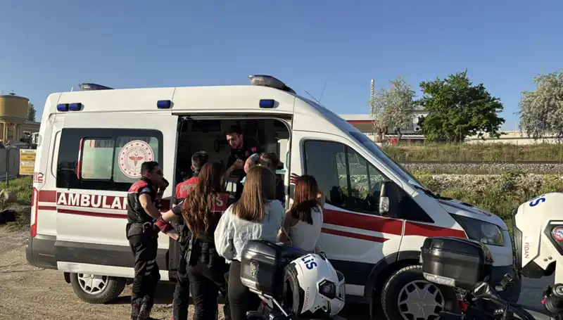 Arkadaşının Dallarıyla Bir Hayat Kurtarma Hikayesi