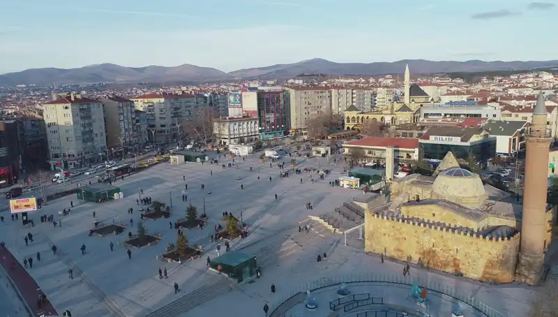 Kırşehir’de Keşfedilen Yeni Böcek Türü Bilim Dünyasını Kımıldattı