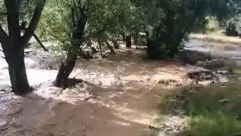 Mersin'de Aniden Bastıran Sağanak Yağış, Sele Sebep Oldu