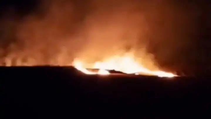 20 Dönüm Tarım Arazisi Yangınla Kül Oldu, Nedenleri Araştırılıyor