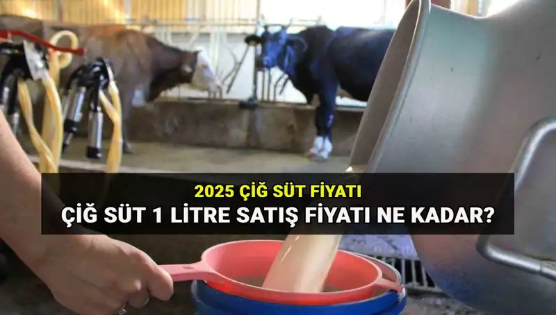 Çiğ Süt Fiyatları 2025: Ulusal Süt Konseyi'nden Son Gelişmeler