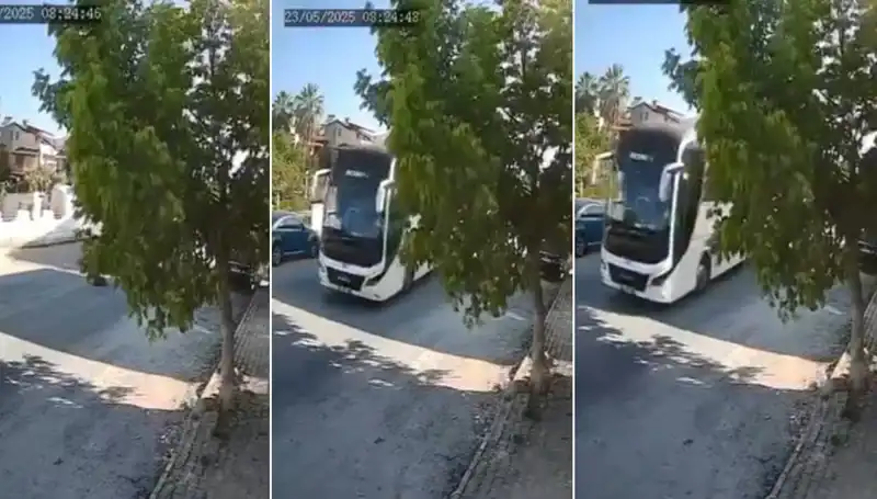 Yolda Yatan Köpeği Ezip Geçen Aracın Sürücüsüne Şok Tepki!