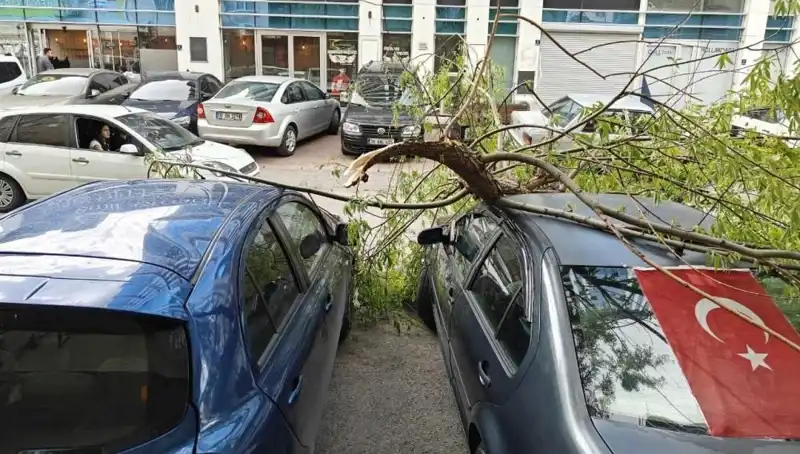 Kayseri’de Şiddetli Fırtına Ağaçları Dallarıyla Birlikte Devirdi!