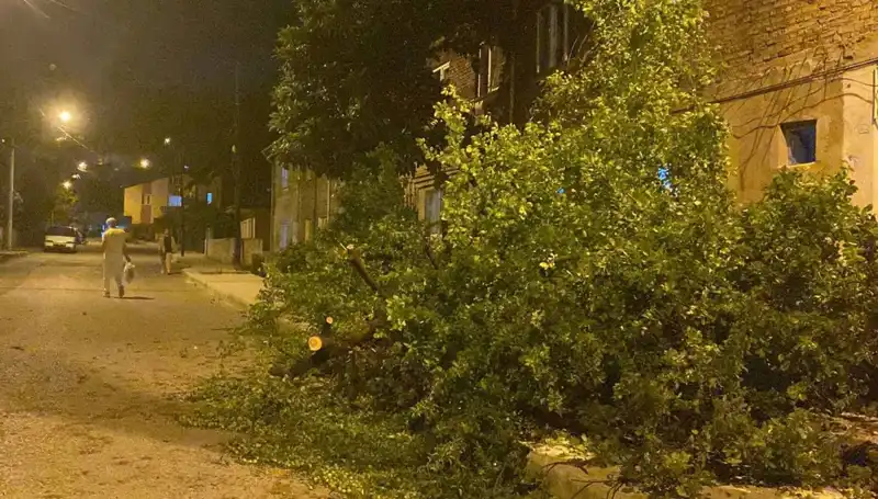 Karabük’te Şiddetli Fırtına Hayatı Olumsuz Etkiledi