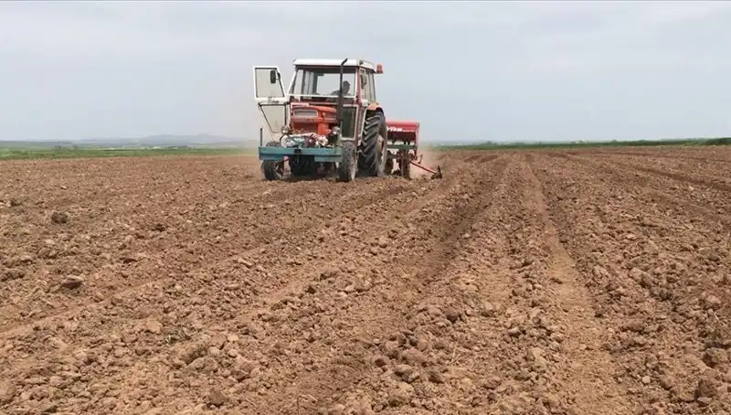 Türkiye Son 35 Yılın En Kurak Mart Ayını Yaşadı: Yağışlar Yüzde 59 Azaldı